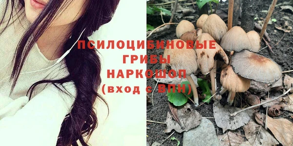 PSILOCYBIN Армянск