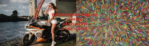 PSILOCYBIN Армянск