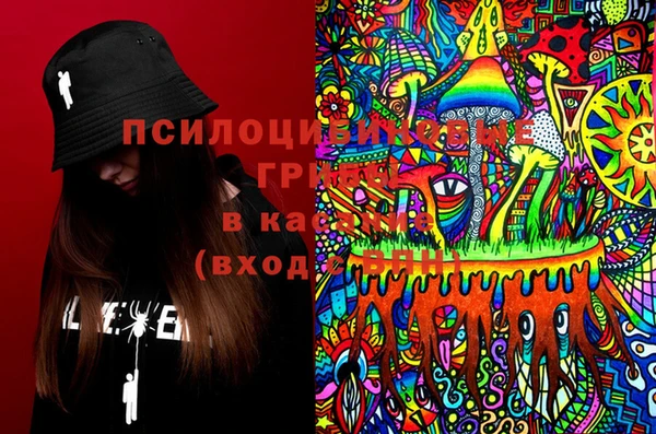 хмурый Алзамай